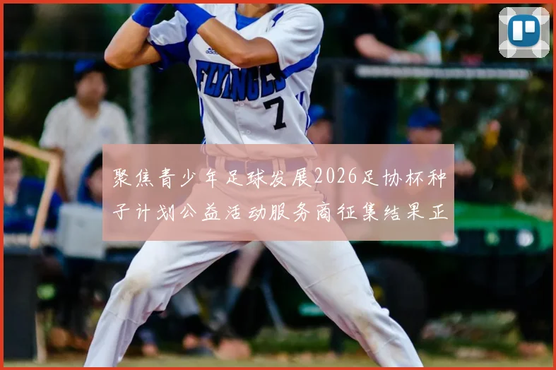 聚焦青少年足球发展2026足协杯种子计划公益活动服务商征集结果正式公布