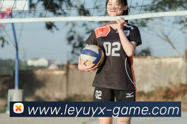 App Interface Preview